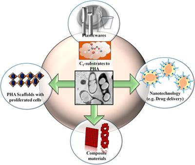 Recent trends of biotechnological production of polyhydroxyalkanoates from C1 carbon sources